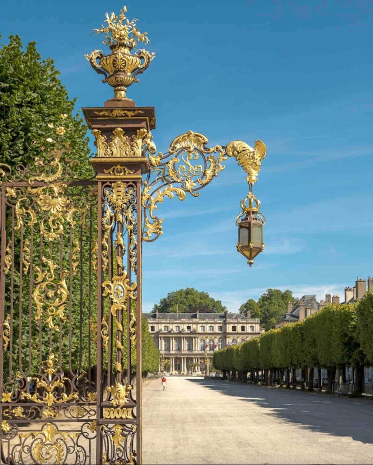 Le Dominicains Appartement Au Calme Aux Portes De La Place Stanislas Nancy Extérieur photo